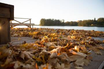 Фото Загородные дома Luksto sdoyba г. Alanta 5